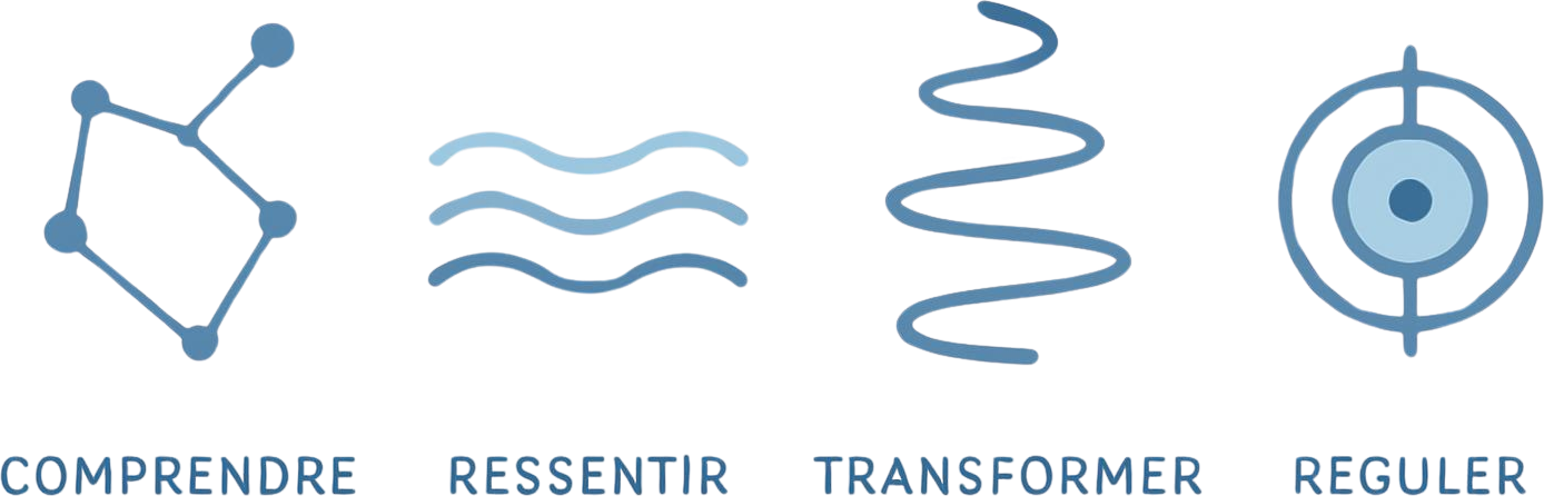 Comprendre · Ressentir · Transformer · Réguler