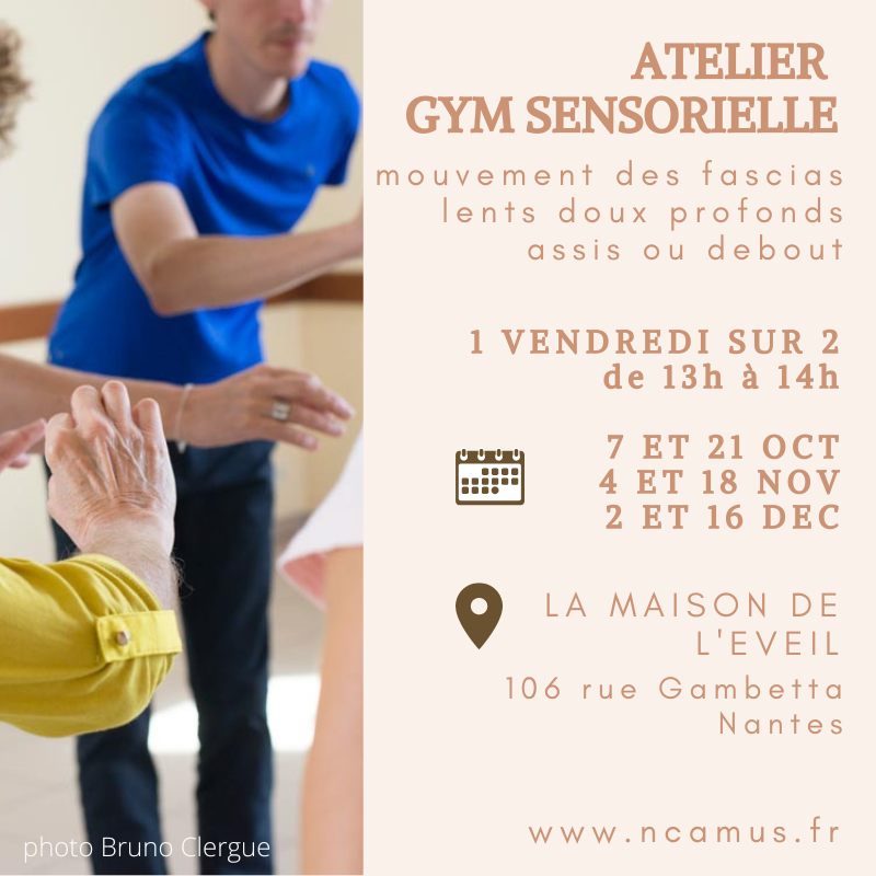 ncamus-gym-sensorielle-atelier